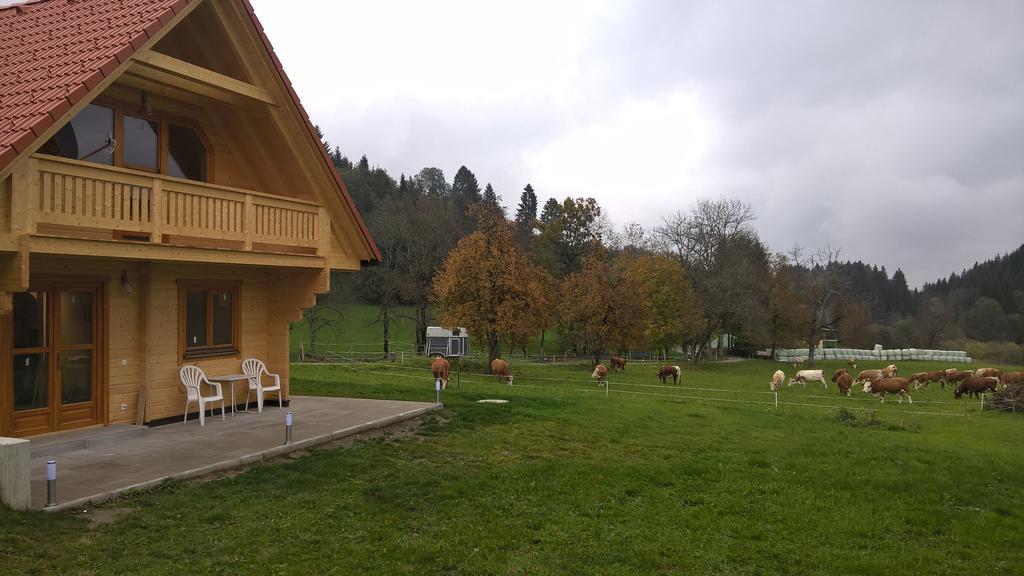 Ferienhaus Dorfruhe Sankt Stefan an der Gail Pokój zdjęcie